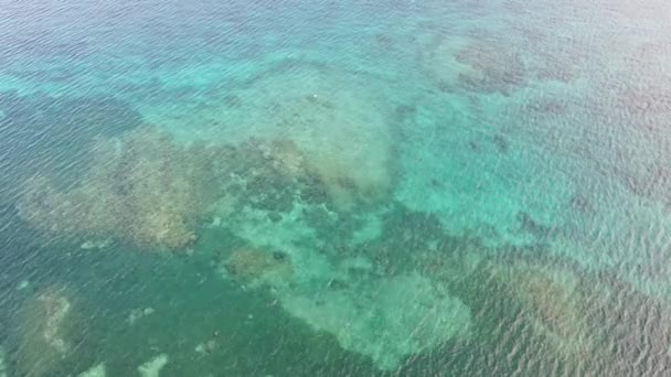 Antenne Statique Magnifique Écosystème Récifs Coralliens Sur Triangle Corallien Diversifié — Video