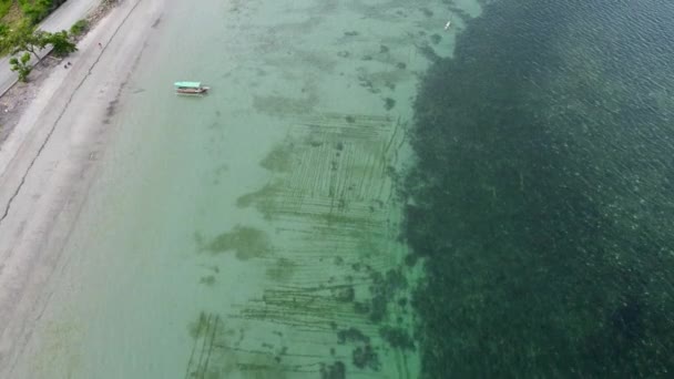Повітряний Політ Над Водоростями Місцеві Рибальські Каное Бірюзових Водах Коралового — стокове відео