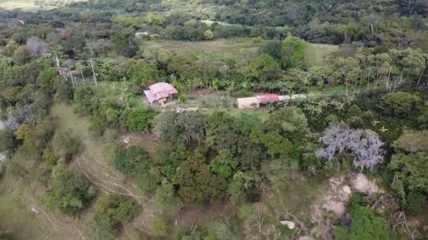 Coffee Plantain Farm Boyaca Colombia — Stock Video