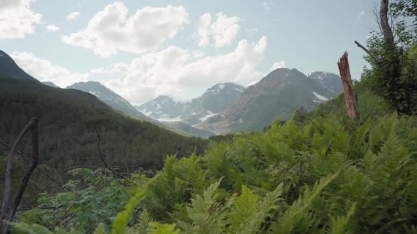 Lush Green Forest Beautiful Mountain Range Lyngsdalen Norway Wide Shot — Stock Video