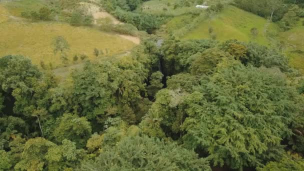 Небольшой Водопад Посреди Деревьев Районе Фачоко Воздушный Удар — стоковое видео