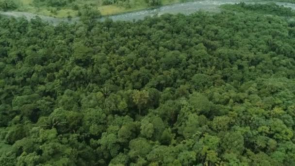 Rio Blanco Ecuatorian Choco Area Pichincha Province Border Rain Forest — Stock Video