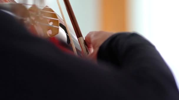音楽家の手を閉じてリズミカルにお辞儀をする音楽上の赤いビオラの上に白いスタジオ — ストック動画
