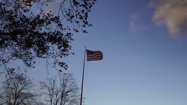 Förenta Staternas Flagga Viftar Blåsig Dag Klar Himmel Bakgrunden — Stockvideo