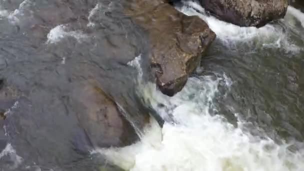 Grist Mill Rapids Mill — Vídeos de Stock