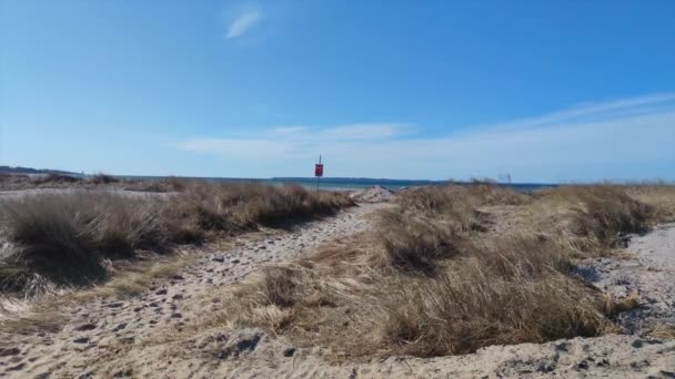 海滩附近沙滩上的沙丘上刮风 — 图库视频影像