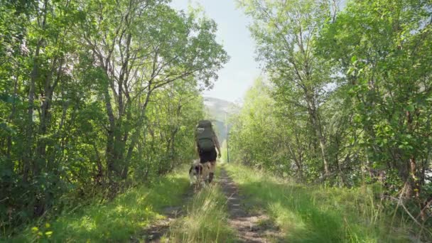 Чоловік Який Ходить Лісовим Шляхом Собакою Лінгсдалені Норвегія — стокове відео