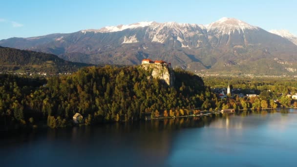 Drone Bled Castle Blejski Grad Slovenia Con Lago Bled Primo — Video Stock