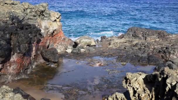 Mouvement Lent Blowhole Nakalele Explosant Sur Des Rochers Maui Hawaï — Video