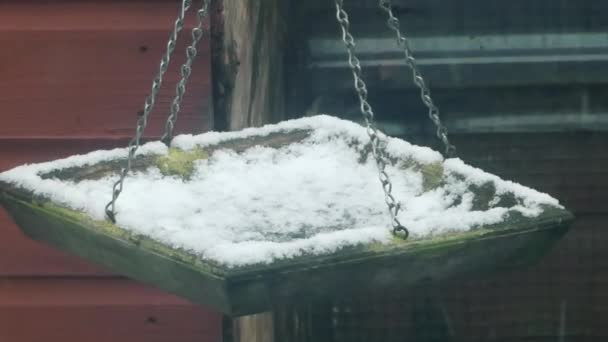 Пустой Заснеженный Кормушка Птиц Свисающий Цепи Время Снегопада — стоковое видео