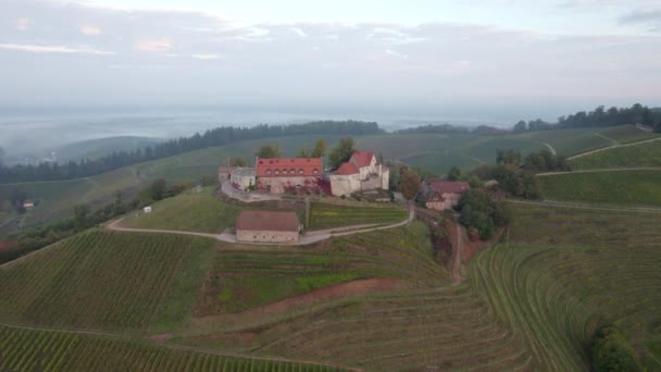 Vista Aérea Castelo Staufenberg Durbach Alemanha — Vídeo de Stock