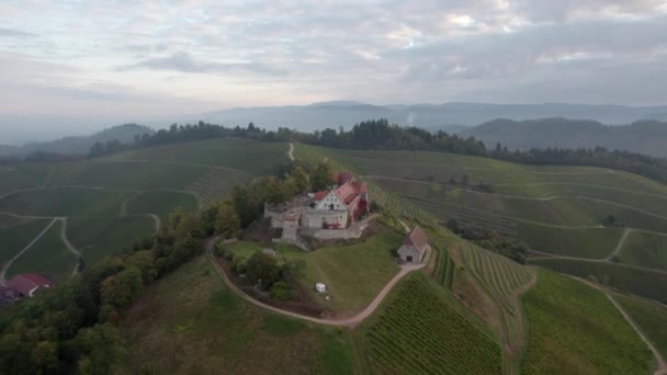 Hillside Durbach Con Castillo Staufenberg — Vídeos de Stock
