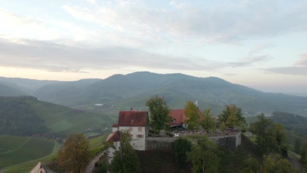 Voar Sobre Staufenbergcastle Revelar Cidade Cênica Durbach Com Suas Vinhas — Vídeo de Stock