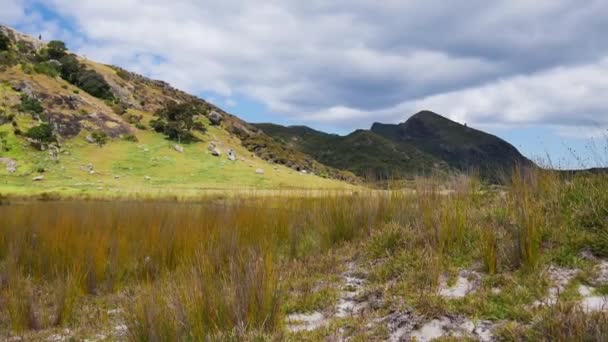 Panorama Bahía Remota Con Hermosas Hierbas Verdes Montañas Fondo Durante — Vídeo de stock