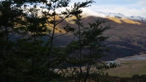 Primer Plano Árboles Verdes Colina Hermosas Montañas Fondo Río Valle — Vídeos de Stock