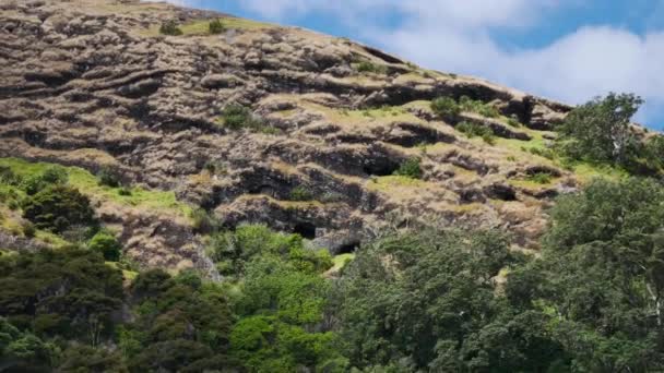 Tiro Largo Mostrando Montanhas Bem Vegetadas Spirits Bay Ponta Norte — Vídeo de Stock