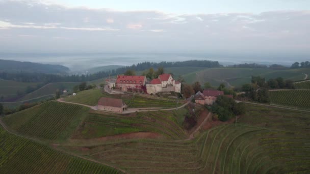 風光明媚な背景を持つブドウ畑の上にSchross Staufenberg — ストック動画