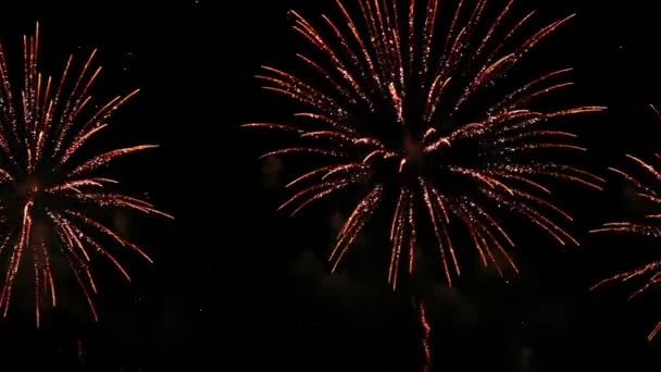 Πολύχρωμο Πραγματική Γιορτή Επίδειξη Πυροτεχνημάτων Την Παραμονή Της Πρωτοχρονιάς Μια — Αρχείο Βίντεο
