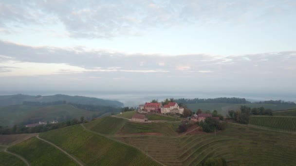 Luftaufnahme Einer Burg Auf Einem Hügel Umgeben Von Weinbergen — Stockvideo