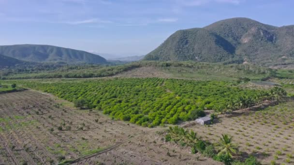 Aerial View Countryside Landscape Lush Hills Vegetation Las Yayas Viajama — 비디오