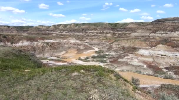 Dinossauro Andando Na Tela Verde Filme - Vídeo de lagarto, rugido