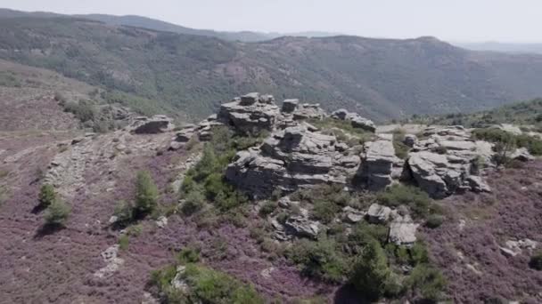 Dron Uçan Parc National Des Cevennes France Ile Video — Stok video