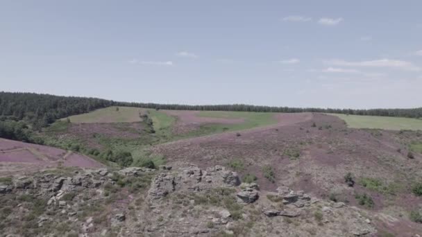 Βίντεο Drone Flying Parc National Des Cevennes Γαλλία — Αρχείο Βίντεο
