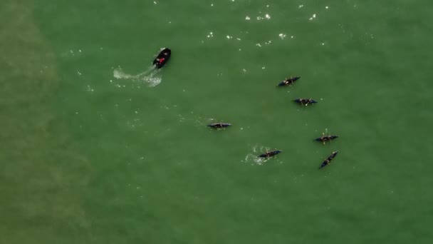 Pohled Shora Dolů Veslařský Tým Trénující Černými Loděmi Zeleném Oceánu — Stock video