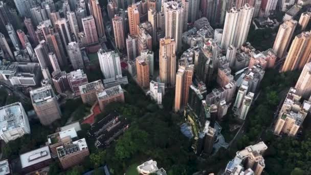Bird Eye View Van Hong Kong Prachtige Wolkenkrabbers Luchtfoto Van — Stockvideo