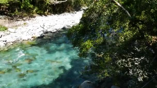 Rolig Krystalklar Flod Nær Lake Marian Løbet Solrig Dag Jungle – Stock-video