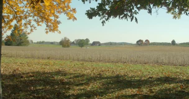 Dia Calmo Ensolarado Campo Batalha Gettysburg Com Carros Passando Estrada — Vídeo de Stock