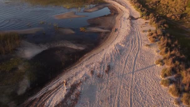 Vedere Orbită Aeriană Persoanei Care Plimbă Plajă Nisip Aproape Lac — Videoclip de stoc