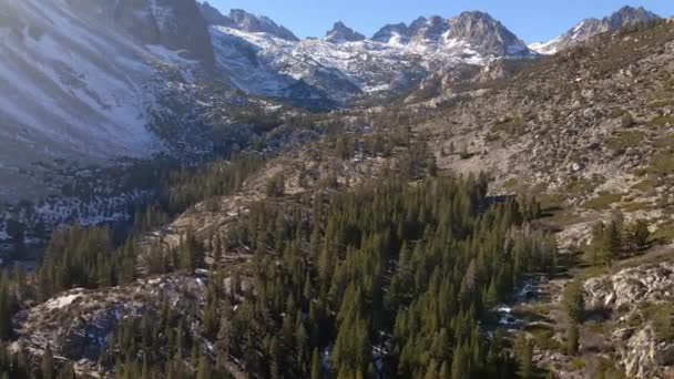 Aerial Cinematic View Mountain Glaciers Valley Forest King Canyon National — Stock Video