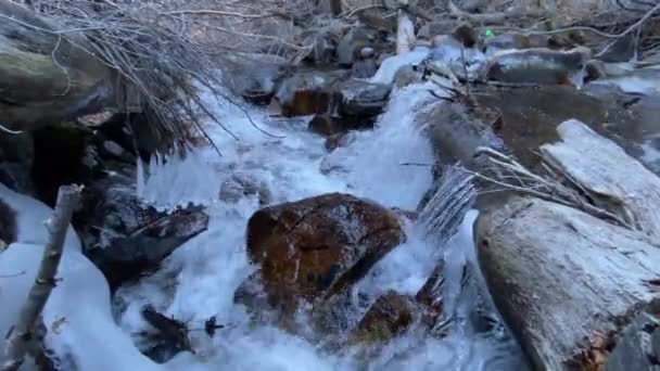 小さな滝のクリーク川は山から来て 大きな松の湖で澄んだ水カリフォルニア州 — ストック動画