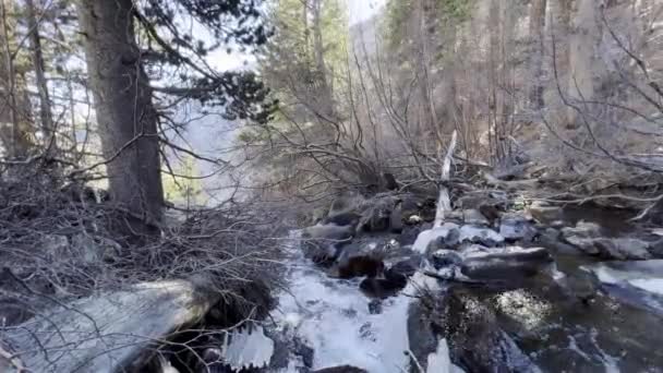 Agua Dulce Super Limpio Arroyo Burbujas Sostenibilidad Medio Ambiente Recursos — Vídeo de stock