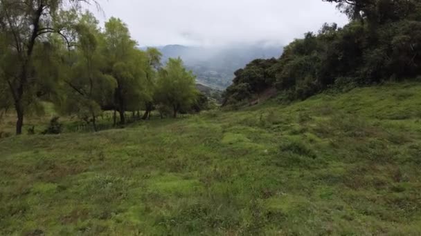 Kolumbiában Mezőgazdasági Földterület Felett Repül — Stock videók