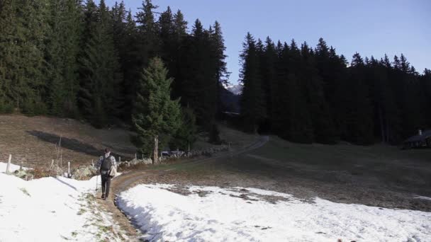 Adieu Reise Von Den Schweizer Alpen Allein Den Kiefernwald — Stockvideo