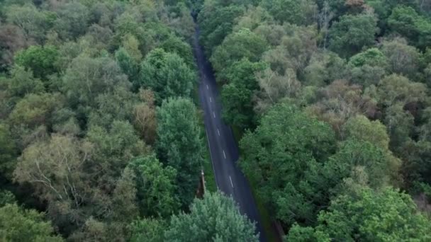 Kırsal Kesimdeki Orman Ağaçlarının Arasından Geçen Bir Yolun Havadan Görünüşü — Stok video