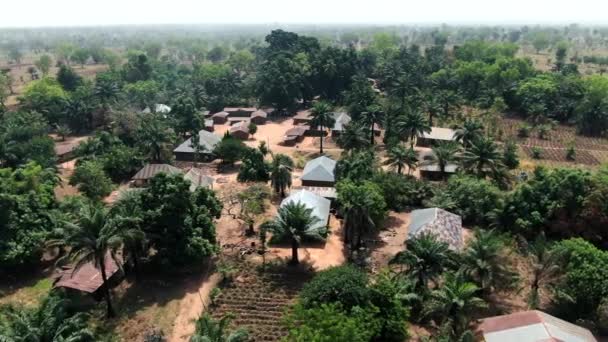 Olegobidu Village Aerial View Nigerian Community Benue State Fulani Herdsmen — Stock Video