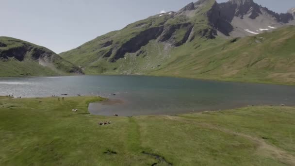 Avance Inclinaison Avion Avec Drone Vidéo Vol Lac Verney Avec — Video