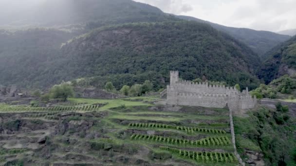 Vídeo Com Drone Plano Lateral Ascendente Diagonalmente Para Novo Castelo — Vídeo de Stock