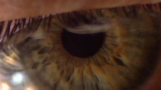 Extrême Détail Gros Plan Élève Iris Anatomie Oculaire Humaine Macro — Video