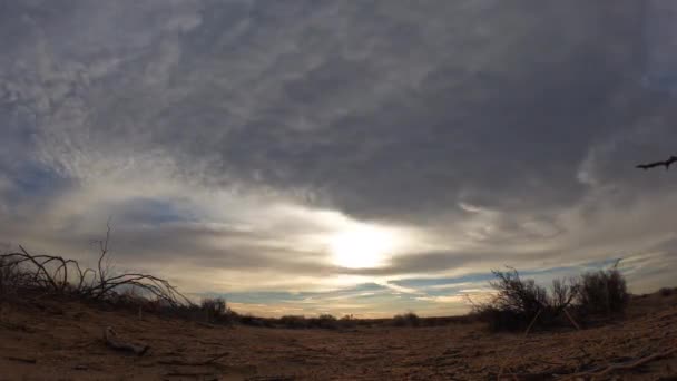 Wschód Słońca Upływ Czasu Pustyni Mojave Szybko Poruszającymi Się Chmurami — Wideo stockowe