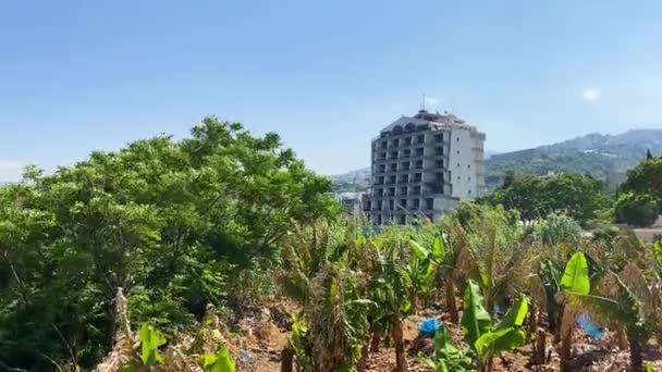 Trópusi Növényzet Bourj Fidar Resort Hotel Háttér Byblos Libanon Balra — Stock videók