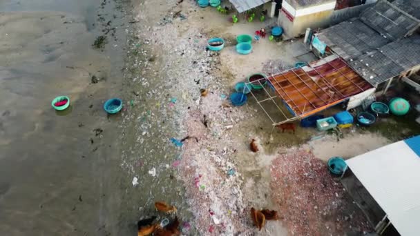 Casas Pescadores Playa Con Ganado Basura Aves Aéreas Ojo Revelando — Vídeos de Stock