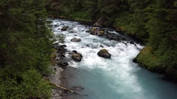 Fluss Fließt Durch Felsen Wald Alaska Dollly — Stockvideo