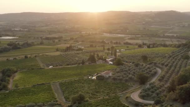Gün Batımında Üzüm Bağları Zeytin Ağaçlarıyla Güzel Avrupa Manzarası — Stok video