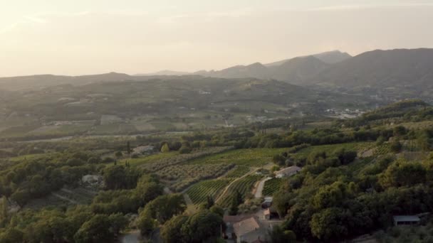 Hügelige Landschaft Südeuropa Voller Weinberge Bei Sonnenuntergang — Stockvideo