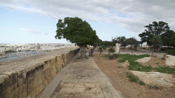 Piękne Drzewo Rosnące Ogrodach Hastings Portem Valletta Tle — Wideo stockowe
