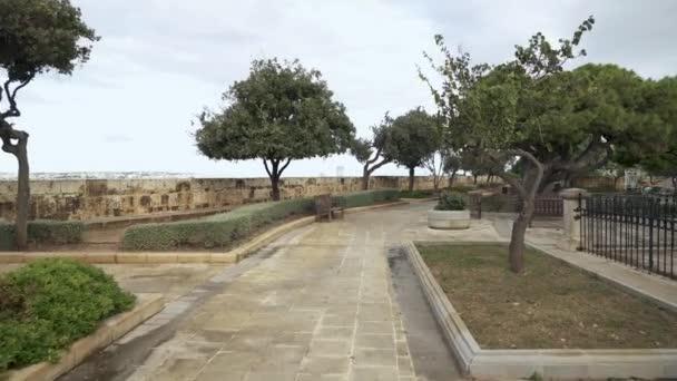 Crecen Olivos Los Jardines Hastings Malta Capital Valeta — Vídeos de Stock